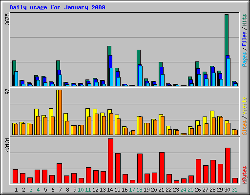 Daily usage for January 2009