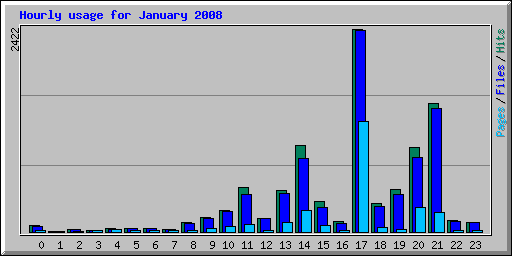 Hourly usage for January 2008