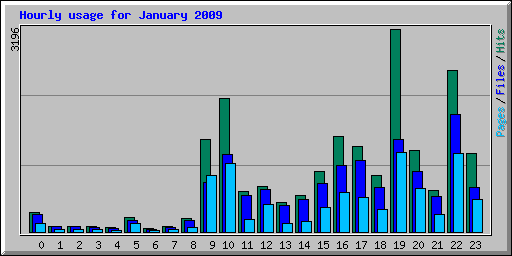 Hourly usage for January 2009