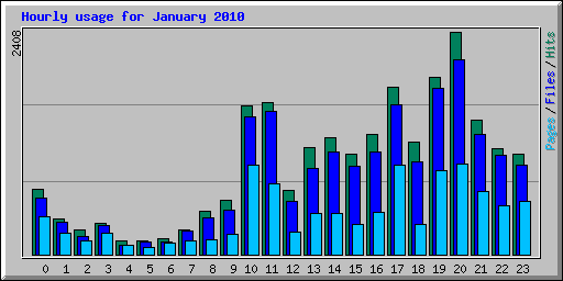 Hourly usage for January 2010