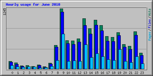 Hourly usage for June 2010